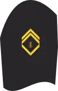 Navy Command Service (20th)