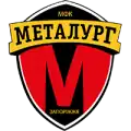 Metalurh owned by the city of Zaporizhzhia