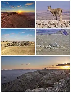 View of Mitzpe Ramon from Har Gamal, Picture of Nubian ibex, Wise Observatory, Crater View