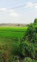 Machur village