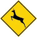Wildlife crossing