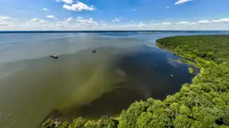 Aerial view of the shoreline of Mallows Bay looking toward the Potomac River