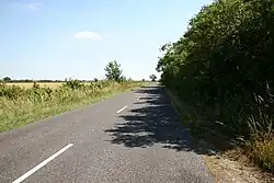 General view of Mareham Lane on a sunny day, with a dense hedgerow on the right.