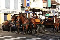 Image 27A carriage on a street in Martinique, one of the Caribbean islands that has not become independent. It is an overseas region of France, and its citizens are full French citizens. (from History of the Caribbean)