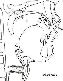Mouth Map