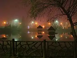 Mellat Park at Night