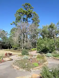 Part of a walking path.