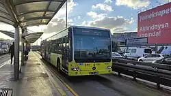 Mercedes-Benz Citaro bus on the Metrobus line.