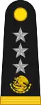 Division General