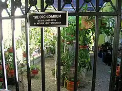 The Orchidarium.