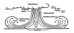Microburst cross section