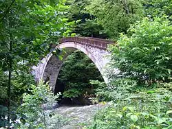 Arched bridge leads away over a rushing river. Bushes and trees crowd on all sides.