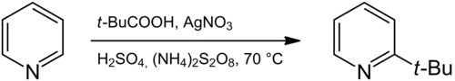 Reaction between pyridine and pivalic acid to 2-tert-butylpyridine