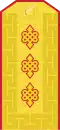 Mongolian Army-Colonel general-parade 1990-1998