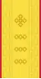 Mongolian Army-MSG-parade 2003-2017