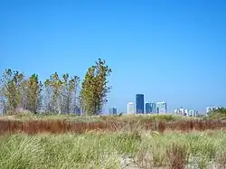 Montrose Beach Dunes Natural Area