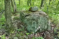 A boulder with small cairn atop to mark the spot in the forest