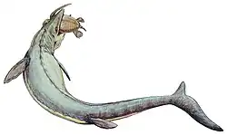 Drawing of M. hoffmannii gripping a marine turtle in its jaws.