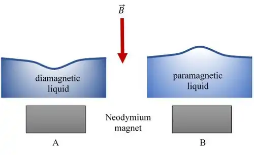 Direct (A) and inverse (B) Moses Effects are depicted.