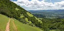 A trail leads toward a copse on a steep hill
