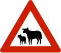 Animals (sheep) Warns that sheep often traverse or travel on the roads.