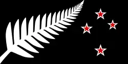 Silver Fern (Black with Red Stars)