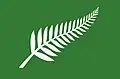 Silver Fern (Green) by Roger Clarke