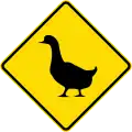 Watch for animals (ducks)