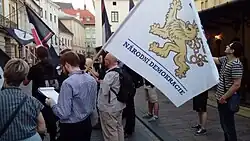Young men holding flags