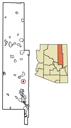 Location of Woodruff in Navajo County, Arizona.