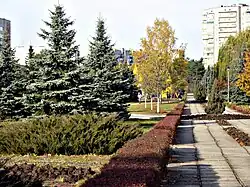 Kurchatova Avenue
