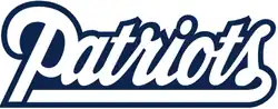 The Patriots' wordmark used from 1993 to 2013, with the blue darkened in 2000. A version with the "Flying Elvis" attached to the top was frequently used