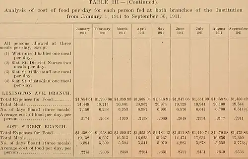 New York Nursery and Child's Hospital Annual Report (1910)