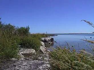 Duck Bay along Newport Trail with reed canary grass (Phalaris arundinacea) and orange jewelweed (Impatiens capensis) flowers, September
