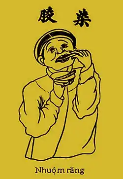 A picture from the book, Technique du peuple Annamite (Vietnamese: Kỹ thuật của người An Nam), depicting the Vietnamese custom of teeth blackening. It has chữ Nôm, 染𦝄 and Vietnamese alphabet, Nhuộm răng.