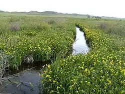 The Niobrara River flowing through Agate Fossil Beds