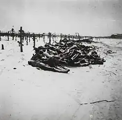 Victims of the famine in Buzuluk, next to Samara
