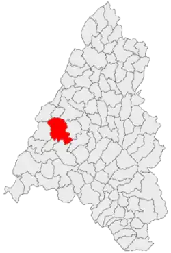 Location in Bihor County