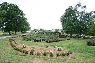 Margaret Moore Hall Bicentennial Rose Garden