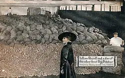 Hollywood star Lillian Russell shows off the Northern Pacific Railway's potatoes in this 1915 promotional postcard.