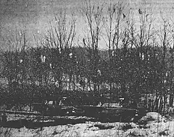 a view of snow-covered ground with a row of trees with many articles of clothing scattered in the branches