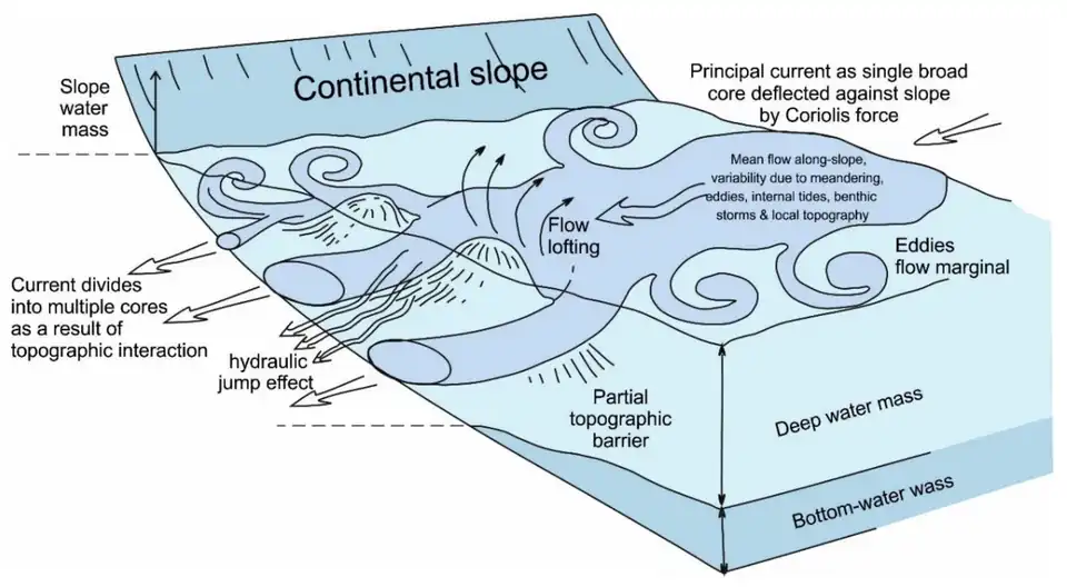 Identifying the current core, eddies and strands within a deep-water mass