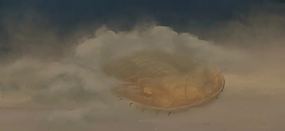 Reconstruction of Ogygopsis klotzi in the Burgess Shale