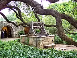 Old well and oak tree in courtyard of the Alamo