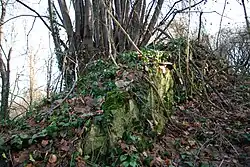 One of the walls at the Vidin Grad