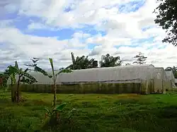 MMPCI Ecology Center (Maronquillo)