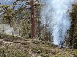 Origin of Pika Fire on the Evening of June 28th at 6:30 pm after the storm had passed