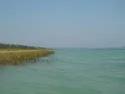 Shore of Lake Petén Itza.