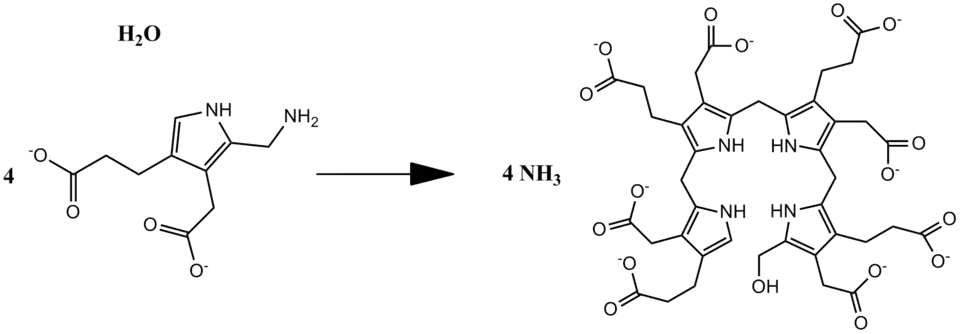 Overall reaction of PB deaminase