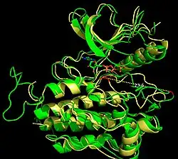 Figure 5. Overlay Structures of Active and Inactive Forms of FGFR1 kinase